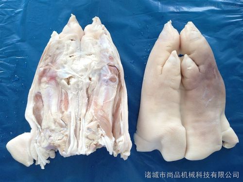 豬蹄劈半機價格與供應信息全解析——中國食品機械設備網(wǎng)助您把握商機
